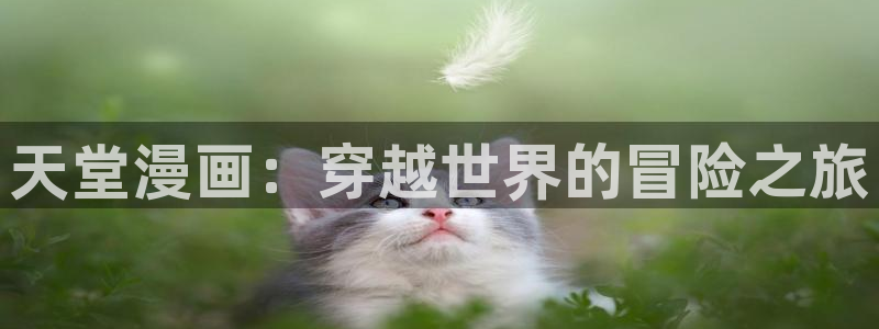 喵趣漫画app下载官网