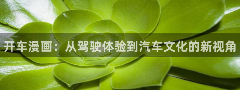 喵趣漫画app官网入口下载