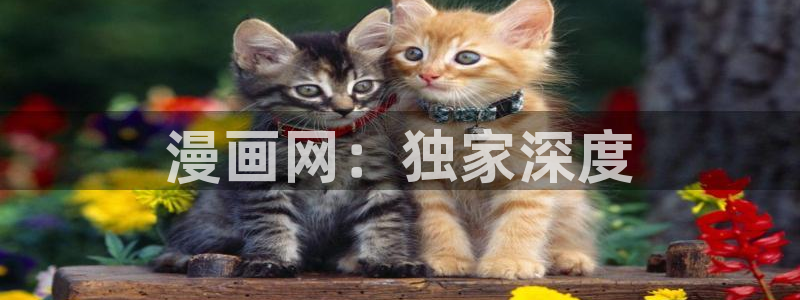 喵趣漫画app官网
