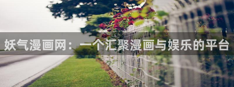 喵趣漫画正版下
