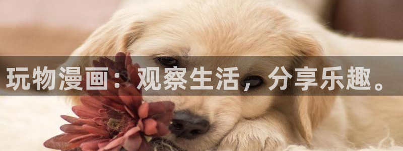 喵趣漫画 下载